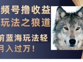 视频号撸收益新玩法之狼道，目前蓝海玩法，轻松月入过万【揭秘】
