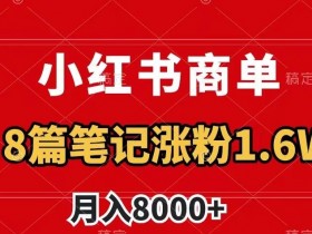 小红书商单最新玩法，8篇笔记涨粉1.6w，作品制作简单，月入8000+【揭秘】