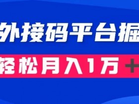 通过国外接码平台掘金：成本1.3，利润10＋，轻松月入1万＋【揭秘】