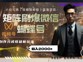 矩阵刷爆微信蝴蝶号创作者分成计划收益的新玩法，日入2000+【揭秘】