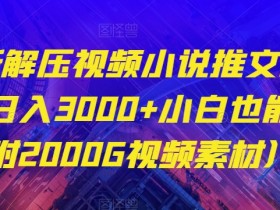 最新解压视频小说推文项目，日入3000+小白也能做（附2000G视频素材）【揭秘】