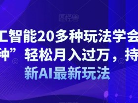 AI人工智能20多种玩法学会“其中一种”轻松月入过万，持续更新AI最新玩法