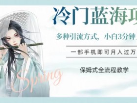 冷门蓝海项目，操作简单，小白3分钟上手，多种引流方式，保姆式全流程教学【揭秘】