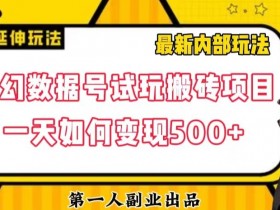 数据号回归玩法游戏试玩搬砖项目再创日入500+【揭秘】