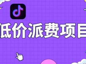 抖音低价派单项目，0门槛，日入1000+很轻松，小白可操作【揭秘】