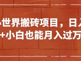 QQ小世界搬砖项目，日入500+小白也能月入过万【揭秘】