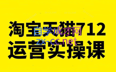 蒋晖·淘宝天猫712运营实操课（更新2023）