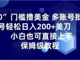 0门槛撸美金，多账号批量起号轻松日入200+美刀，小白也可直接上手，保姆级教程【揭秘】