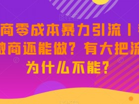 新·微商零成本暴力引流丨都2023了微商还能做？有大把流量，为什么不能？