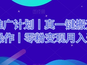 网剧推广计划丨真一键搬运丨矩阵操作丨零粉变现月入过W