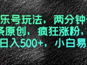 最新音乐号玩法，两分钟一条视频，条条原创，疯狂涨粉，多种变现，日入500+，小白易上手【揭秘】