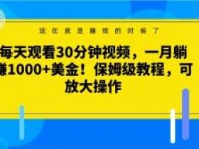 每天观看30分钟视频，一月躺赚1000+美金！保姆级教程，可放大操作【揭秘】