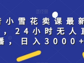 抖音小雪花卖课最新玩法，24小时无人直播，日入3000+【揭秘】