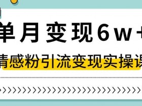 单月变现6W+，抖音情感粉引流变现实操课，小白可做，轻松上手，独家赛道【揭秘】