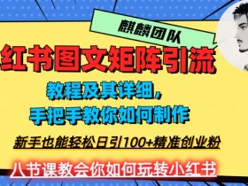 2023年最强小红书图文矩阵玩法，新手小白也能轻松日引100+精准创业粉，纯实操教学，不容错过！