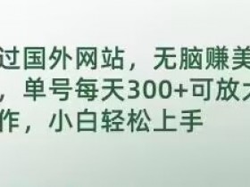 通过国外网站，无脑赚美刀，单号每天300+可放大操作，小白轻松上手【揭秘】