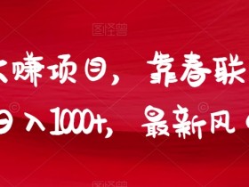年前大赚项目，靠春联暴力出单，日入1000+，最新风口赛道【揭秘】