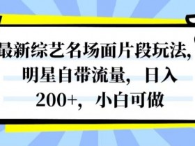 最新综艺名场面片段玩法，明星自带流量，日入200+，小白可做【揭秘】