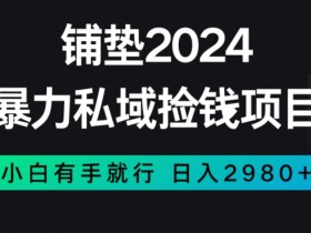 暴力私域捡钱项目，小白无脑操作，日入2980【揭秘】