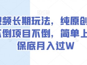 中视频长期玩法，纯原创，抖音不倒项目不倒，简单上手，保底月入过W【揭秘】