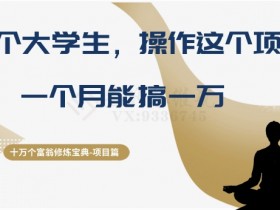 十万个富翁修炼宝典之4.一个大学生操作这个项目，一个月能搞一万