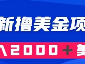 最新撸美金项目：搬运国内小说爽文，只需复制粘贴，月入2000＋美金【揭秘】