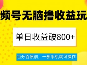 视频号无脑撸收益玩法，单日收益破800+，百分百原创，一部手机就可操作【揭秘】