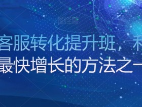 金牌客服转化提升班，利润率最快增长的方法之一