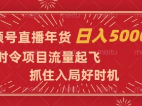 视频号直播年货，时令项目流量起飞，抓住入局好时机，日入5000+【揭秘】