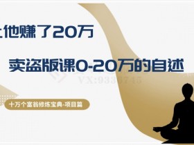 十万个富翁修炼宝典之9.让他赚了20万，卖盗版课0-20万的自述
