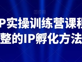 百万IP实操训练营课程，完整的IP孵化方法