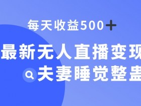 最新无人直播变现，夫妻睡觉整蛊，每天躺赚500+【揭秘】