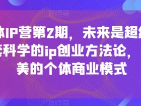 超级个体IP营第2期，未来是超级个体时代，一套科学的ip创业方法论，打造小而美的个体商业模式