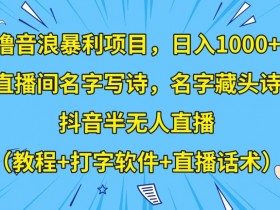 撸音浪暴利项目，日入1000+，直播间名字写诗，名字藏头诗，抖音半无人直播（教程+打字软件+直播话术）【揭秘】