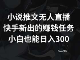 小说推文无人直播，快手新出的赚钱任务，小白也能日入300+【揭秘】
