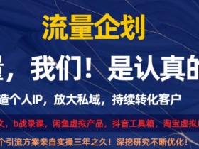 流量企划，打造个人IP，放大私域，持续转化客户【揭秘】