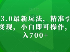 AI神器3.0最新玩法，精准引流，高效私域变现，小白即可操作，轻松日入700+【揭秘】