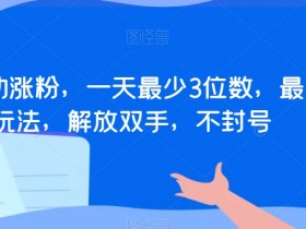 全自动涨粉，一天最少3位数，最新玩法，解放双手，不封号【揭秘】