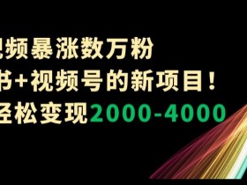 1条视频暴涨数万粉–小红书+视频号的新项目！单月轻松变现2000-4000【揭秘】