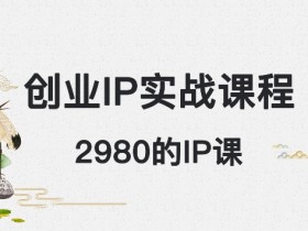 外边卖2980的创业IP课程，做私域月入5w+