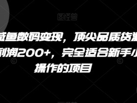实操咸鱼数码变现，顶尖品质货源，一单利润200+，完全适合新手小白操作的项目【揭秘】