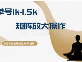十万个富翁修炼宝典15.单号1k-1.5k，矩阵放大操作