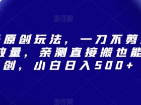 视频号原创玩法，一刀不剪提升5倍播放量，亲测直接搬也能过原创，小白日入500+【揭秘】