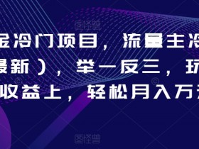 AI掘金冷门项目，流量主冷门赛道（最新），举一反三，玩法单日收益上，轻松月入万元【揭秘】