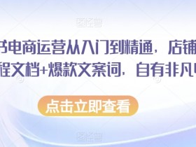 小红书电商运营从入门到精通，店铺入住全流程文档+爆款文案词，自有非凡收获