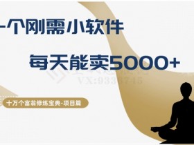 十万个富翁修炼宝典之17.一个刚需小软件，每天能卖5000+