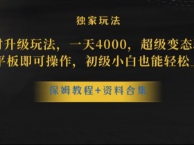 蛋仔派对全新玩法变现，一天3500，超级偏门玩法，一部手机即可操作【揭秘】