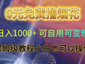 蓝海项目，视频号动漫玩法，对新人友好，月入3000+【揭秘】