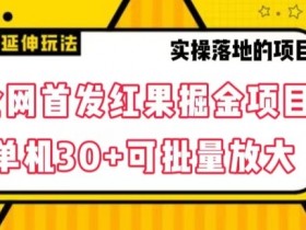 全网首发红果免费短剧掘金项目，单机30+可批量放大【揭秘】