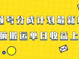 视频号最新爆火赛道玩法，只需无脑搬运，轻松过原创，单日收益上千【揭秘】